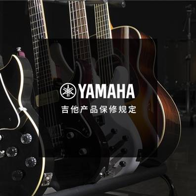 吉他、贝斯和音箱