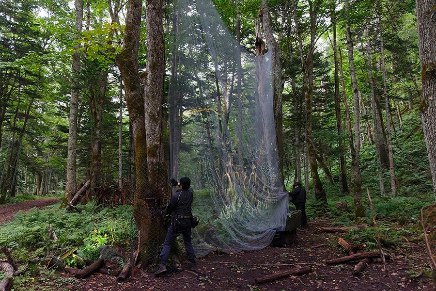 案例｜金百博为壮观的Kamuy Lumina魔法夜行旅游项目提供配乐设备