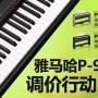 金百博P-95数码钢琴，调价行动即日展开 