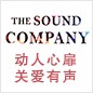 金百博参展Music China 2013 