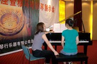 潍坊举行金百博钢琴展示会 