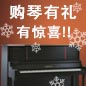 金百博钢琴购琴有礼 买一赠一音乐无限